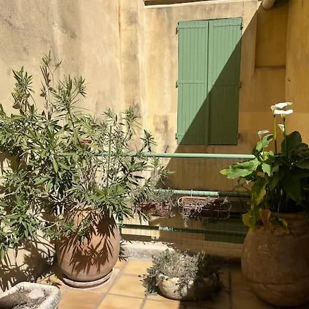 Calme Et Convivialite Aux Arenes Camargue Feriehus